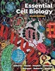 Download Book Essential Cell Biology 6th Edition, Bruce Alberts, Karen Hopkin, Alexander Johnson, David Morgan, Martin Raff, KeithRoberts, Peter Walte, 9781324033356, 9781324033486, 9781324033417, 978-1324033356, 978-1324033486, 978-1324033417