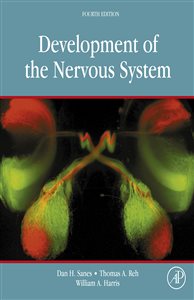 Development of the Nervous System (4th ed.) Dan H. Sanes, Thomas A. Reh