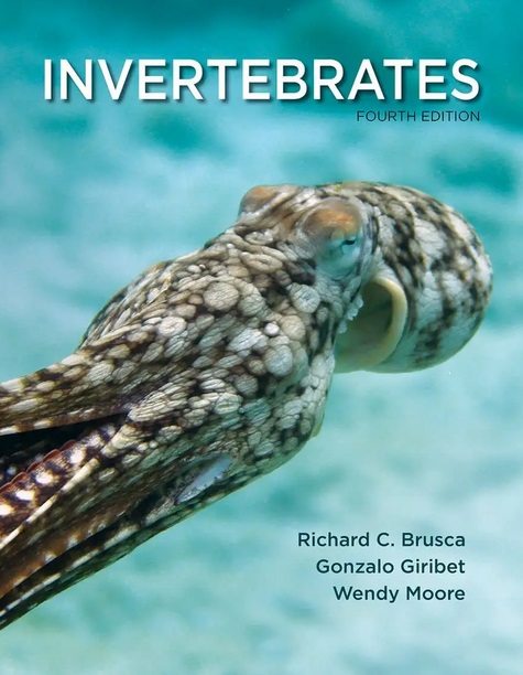 Invertebrates 4th Edition, Brusca, Giribet, Moore, 0197554415, 0197637175, 0197554423, 978-0197554418, 0197554423, 9780197554418, 9780197554425, ﻿﻿978-0197554418, 978-0197554432 , 978-0197637173, 978-0197554425, 9780197554418, 9780197554432, 9780197637173