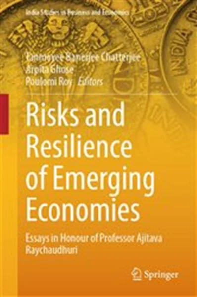 Download Book Risks and Resilience of Emerging Economies: Essays in Honour of Professor Ajitava Raychaudhuri, Tanmoyee Banerjee Chatterjee, Arpita Ghose, Poulomi Roy, 9789819940622, 9789819940639, 978-9819940622, 978-9819940639