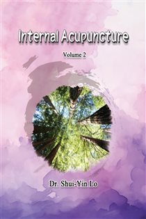Internal Acupuncture (Volume 2)