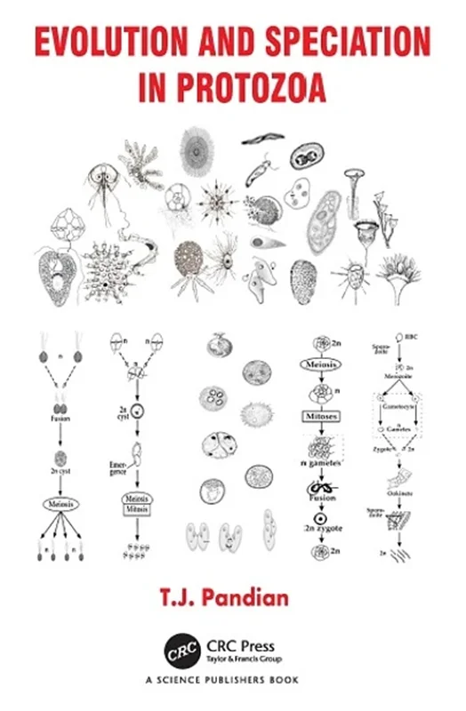 Evolution and Speciation in Protozoa