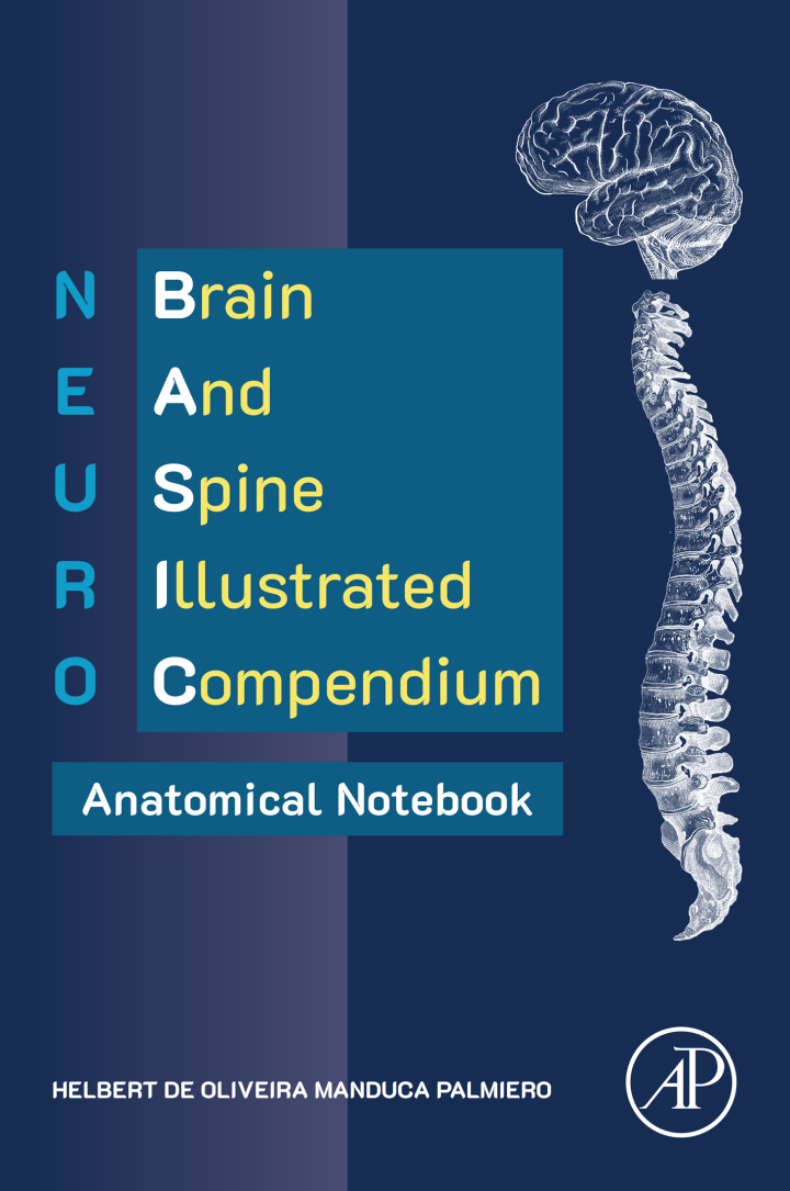 NEURO BASIC: Brain and Spine Illustrated Compendium – Anatomical Notebook