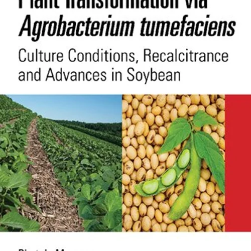 Plant Transformation via Agrobacterium tumefaciens: Culture Conditions, Recalcitrance and Advances in Soybean