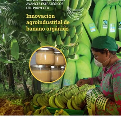Innovación agroindustrial de banano orgánico. Sistematización de los avances estratégicos del proyecto
