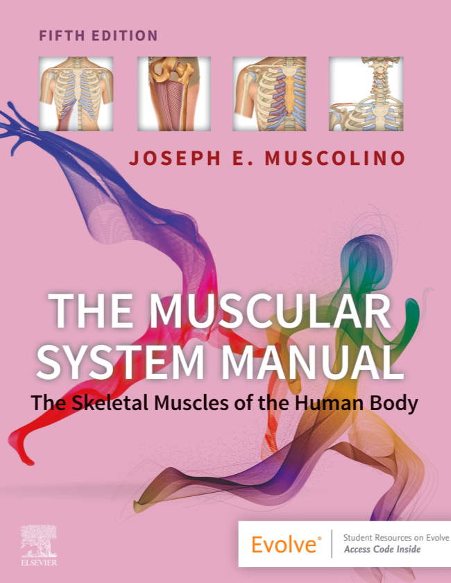 The Muscular System Manual: The Skeletal Muscles of the Human Body 5th Edition