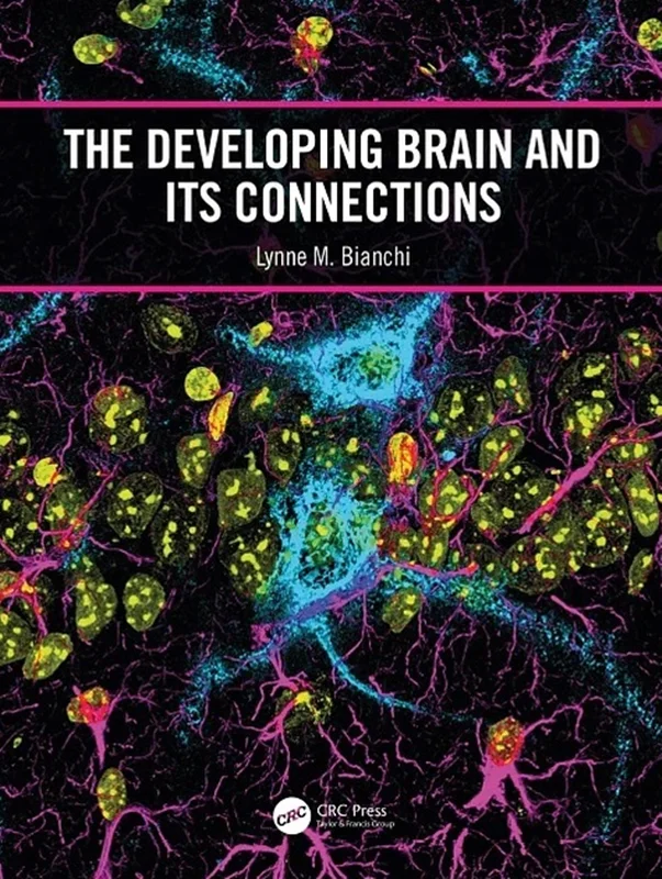 The Developing Brain and its Connections