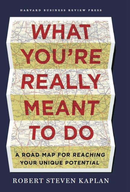 What You're Really Meant to Do: A Road Map for Reaching Your Unique Potential