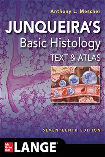 Junqueira's Basic Histology: Text and Atlas, Seventeenth Edition (17th ed.)