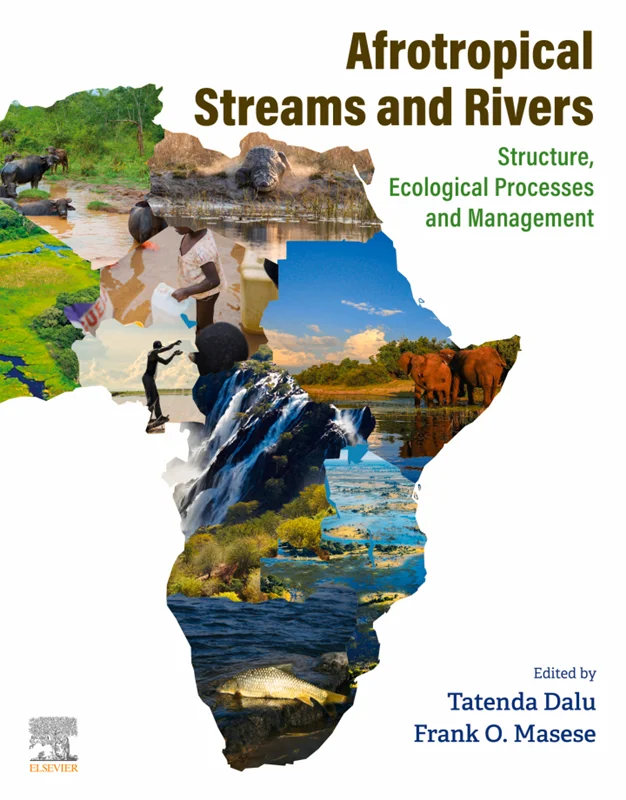 Afrotropical Streams and Rivers: Structure, Ecological Processes and Management