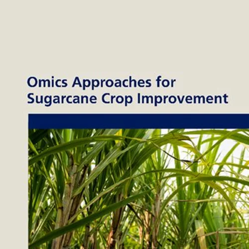 Omics Approaches for Sugarcane Crop Improvement
