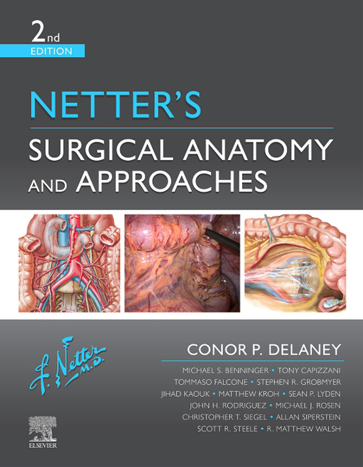 Netter's Surgical Anatomy and Approaches 2nd Edition