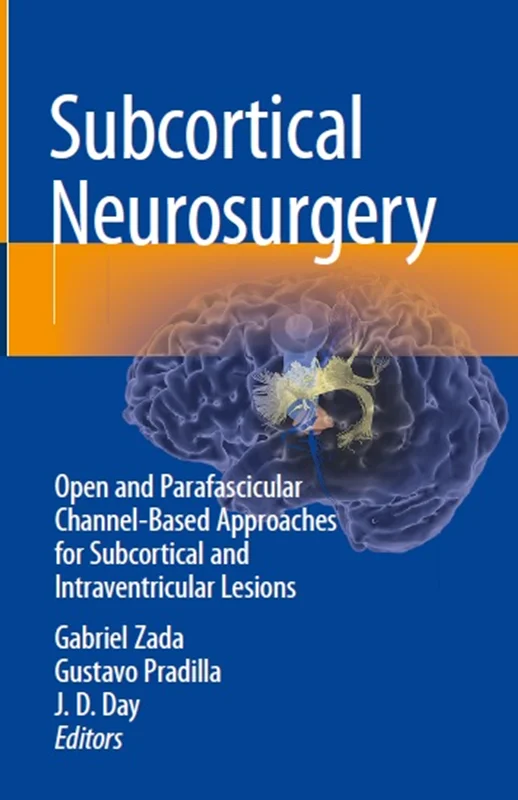 Subcortical Neurosurgery: Open and Parafascicular Channel-Based Approaches for Subcortical and Intraventricular Lesions