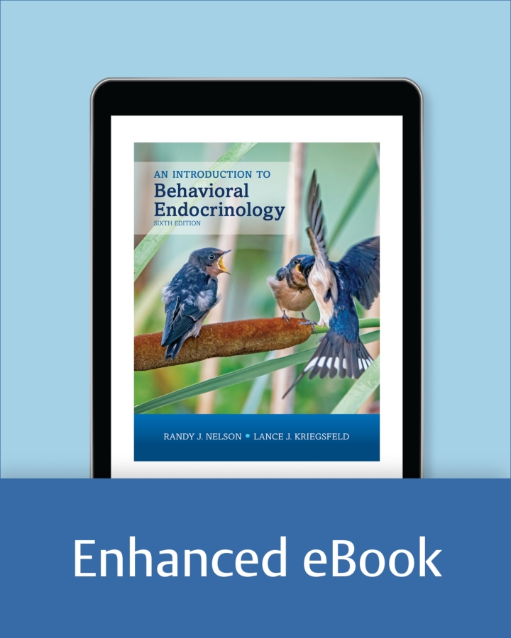 An Introduction to Behavioral Endocrinology 6th Edition
